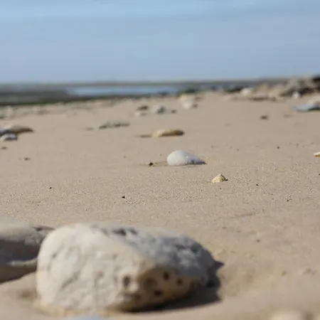 Le Vieux Greement La Couarde-sur-Mer