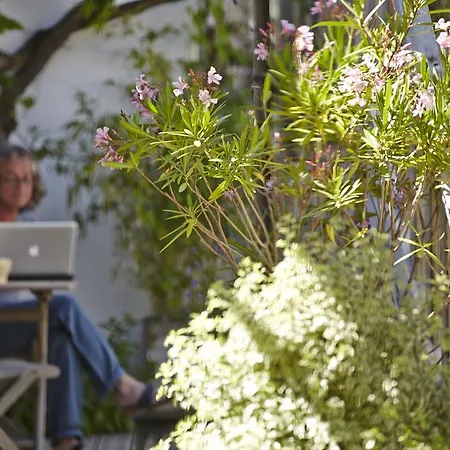 Hotel Le Vieux Greement 3*