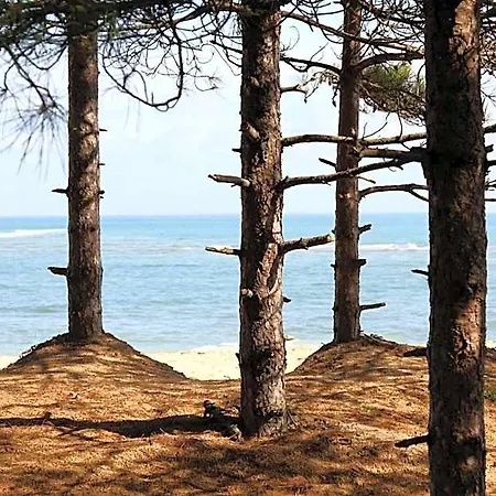 Le Vieux Greement La Couarde-sur-Mer