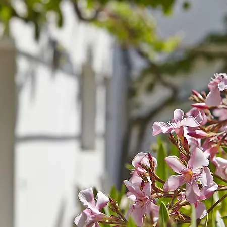 Le Vieux Greement 3* La Couarde-sur-Mer